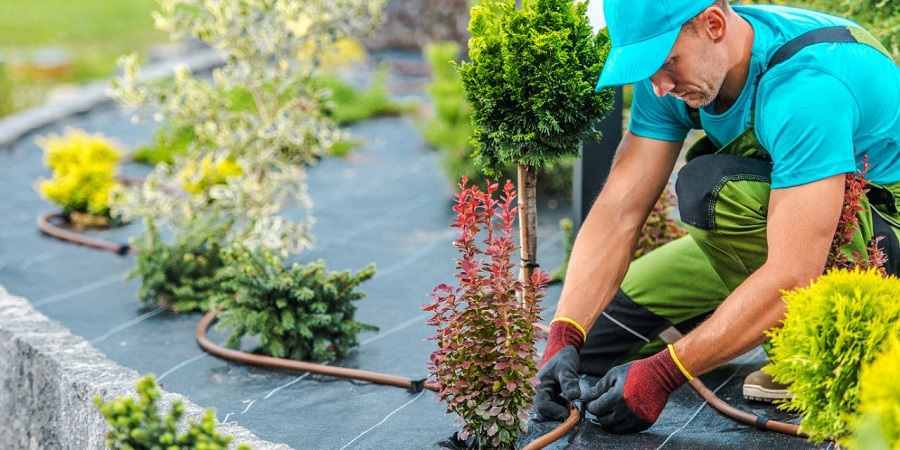 How To Legally Recover Outstanding Monies Owed To Your Landscaping Business